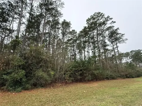 10213 S Autumn Leaf Circle Magnolia TX 77354