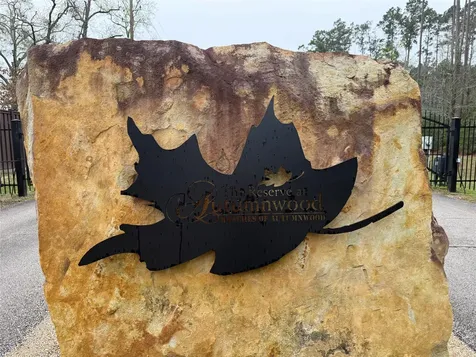 10213 S Autumn Leaf Circle Magnolia TX 77354