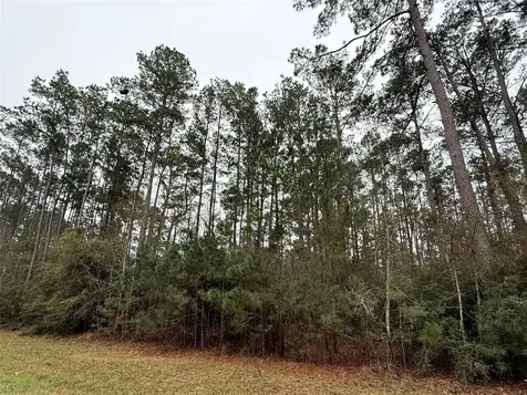 10213 S Autumn Leaf Circle Magnolia TX 77354