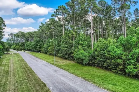 10213 S Autumn Leaf Circle Magnolia TX 77354