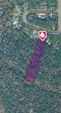 10213 S Autumn Leaf Circle Magnolia TX 77354