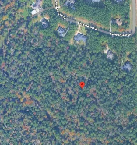 10213 S Autumn Leaf Circle Magnolia TX 77354