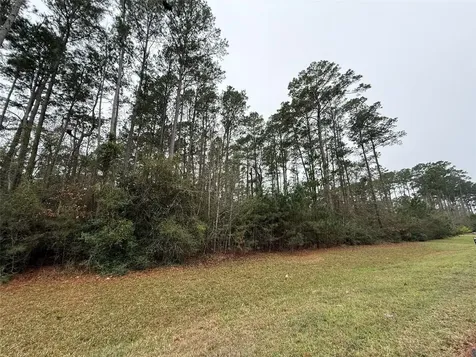 10213 S Autumn Leaf Circle Magnolia TX 77354