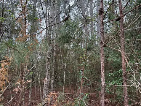 10213 S Autumn Leaf Circle Magnolia TX 77354