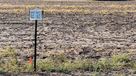 Lot 1 County Road 798 Sinton TX 78387