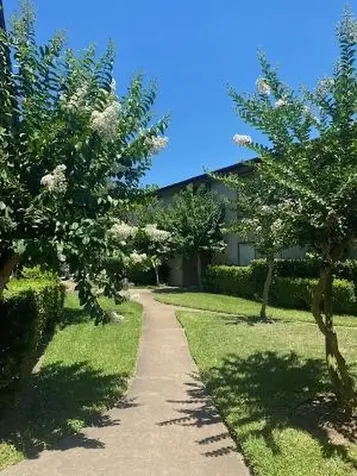 8315 Jorine Drive 8315 Houston TX 77036