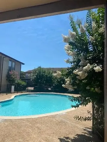 8315 Jorine Drive 8315 Houston TX 77036