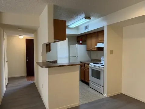 8315 Jorine Drive 8315 Houston TX 77036