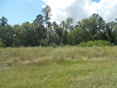1428 Road 5824 Cleveland TX 77327