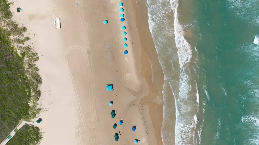 310 Padre Boulevard 1219 South Padre Island TX 78597
