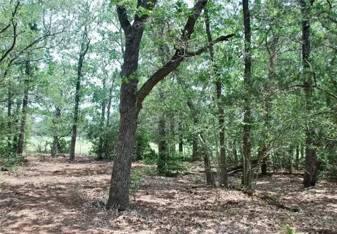 1649 Davis Road Muldoon TX 78949