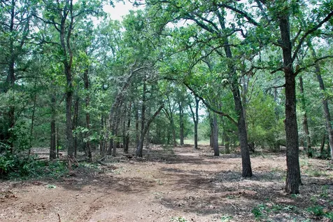 1649 Davis Road Muldoon TX 78949