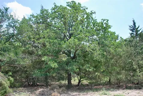 1649 Davis Road Muldoon TX 78949
