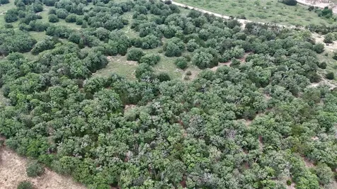 1649 Davis Road Muldoon TX 78949