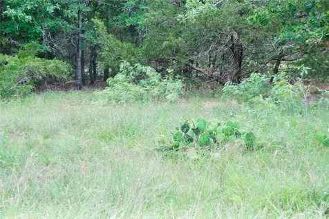 1649 Davis Road Muldoon TX 78949