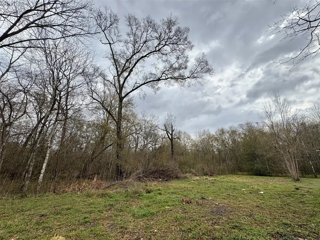 10 Neuman Street Coldspring TX 77331