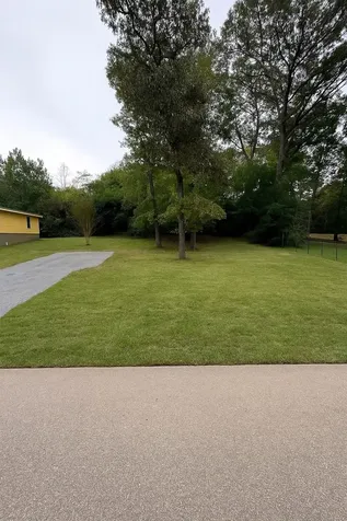 (.25 Ac) 601 Faulkner Avenue Coldspring TX 77331