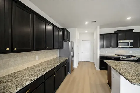 18119 Tenasserim Pine Trace Richmond TX 77407
