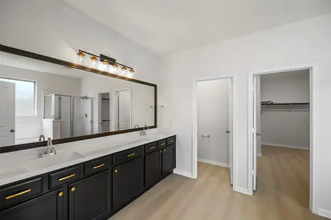 18119 Tenasserim Pine Trace Richmond TX 77407