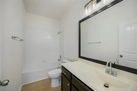18119 Tenasserim Pine Trace Richmond TX 77407