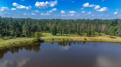 1950 Buckhorn Creek Drive Crockett TX 75835