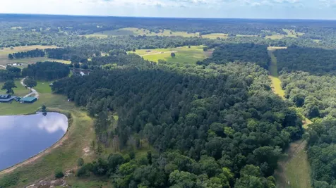 1950 Buckhorn Creek Drive Crockett TX 75835