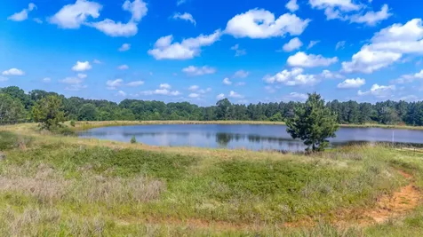 1950 Buckhorn Creek Drive Crockett TX 75835