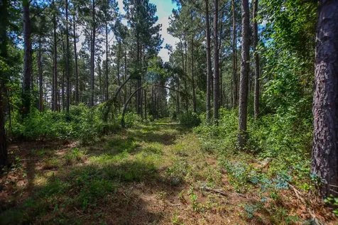 1950 Buckhorn Creek Drive Crockett TX 75835
