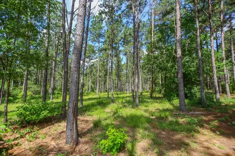 1950 Buckhorn Creek Drive Crockett TX 75835