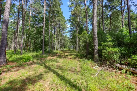 1950 Buckhorn Creek Drive Crockett TX 75835