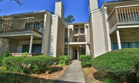 3500 Tangle Brush Drive 138 The Woodlands TX 77381