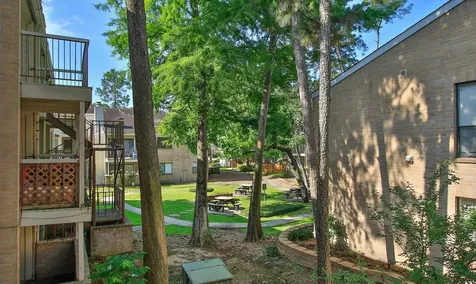 3500 Tangle Brush Drive 138 The Woodlands TX 77381