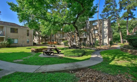 3500 Tangle Brush Drive 138 The Woodlands TX 77381