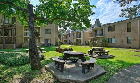 3500 Tangle Brush Drive 138 The Woodlands TX 77381