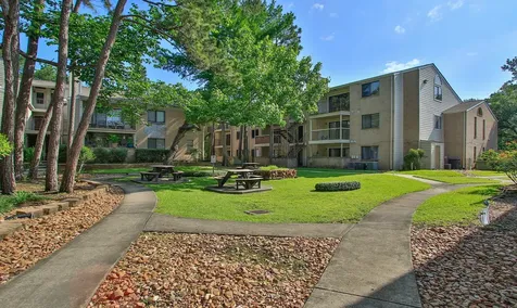 3500 Tangle Brush Drive 138 The Woodlands TX 77381