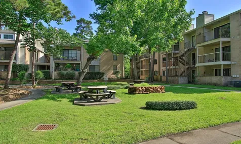 3500 Tangle Brush Drive 138 The Woodlands TX 77381