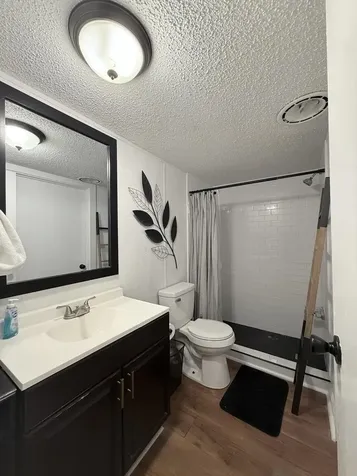 12608 Lazy Cove Drive Willis TX 77318