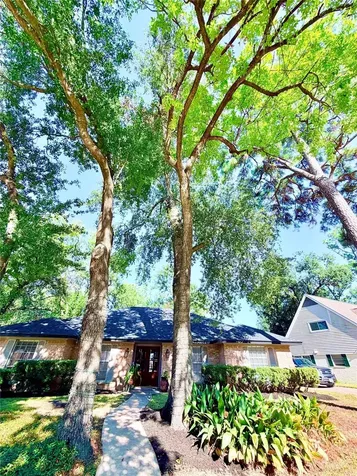 7146 Bayou Forest Drive Houston TX 77088