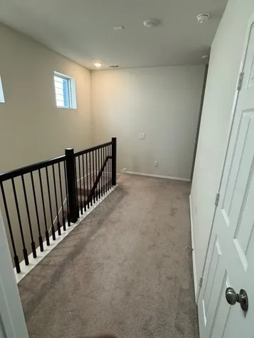 3415 Avondale View Drive Houston TX 77025