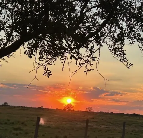 17126 Brumbelow Road Needville TX 77461