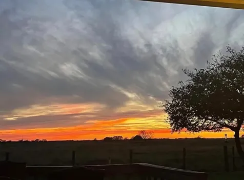 17126 Brumbelow Road Needville TX 77461