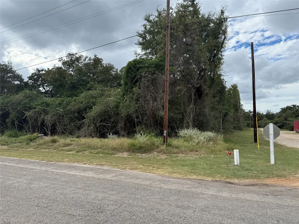 Tbd Golfview N Drive Normangee TX 77871