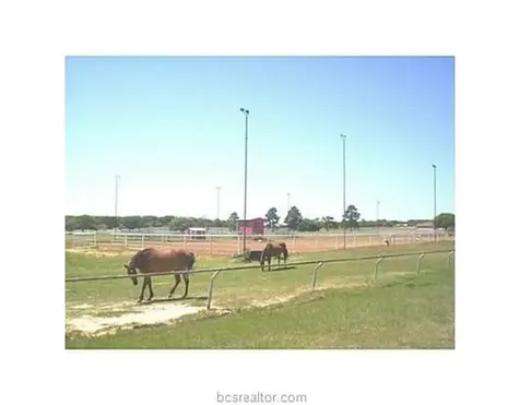 Tbd Golfview N Drive Normangee TX 77871