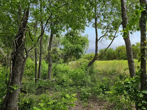 2706 Pace Bend Road S Spicewood TX 78669