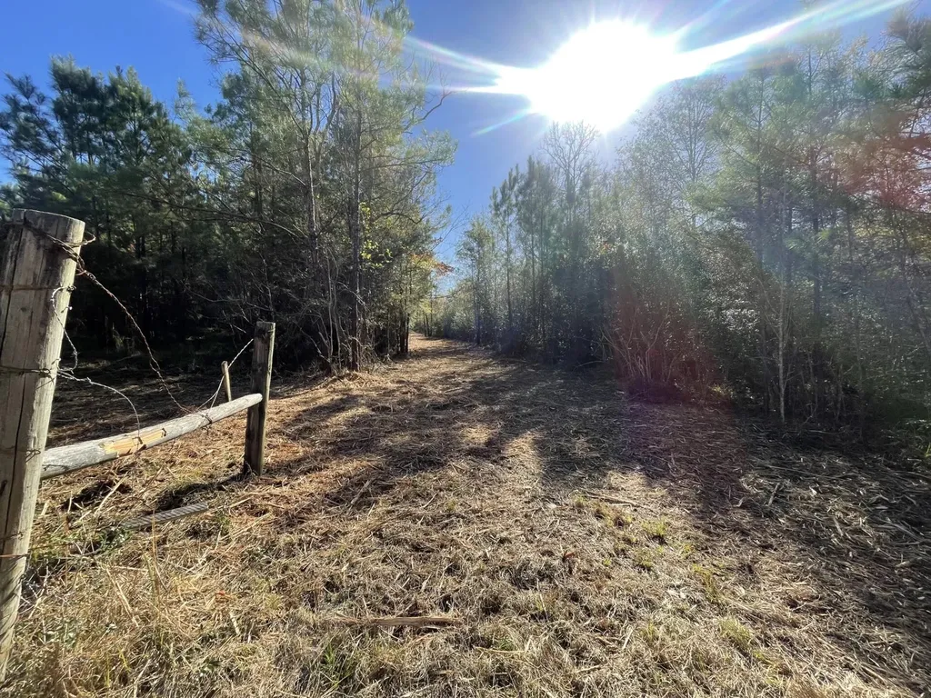 Lot 5 E Fm 942 Livingston TX 77351