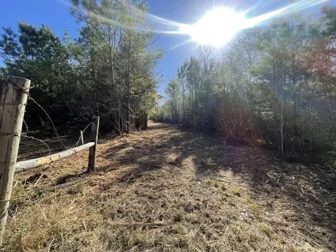 Lot 5 E Fm 942 Livingston TX 77351