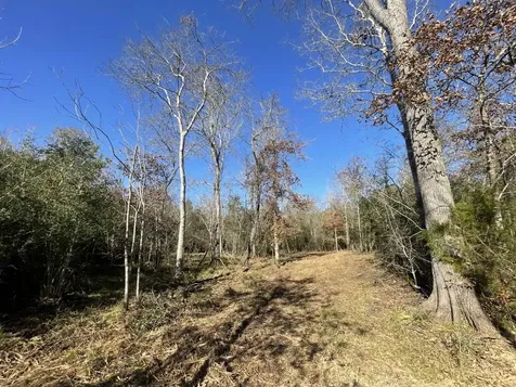 Lot 5 E Fm 942 Livingston TX 77351