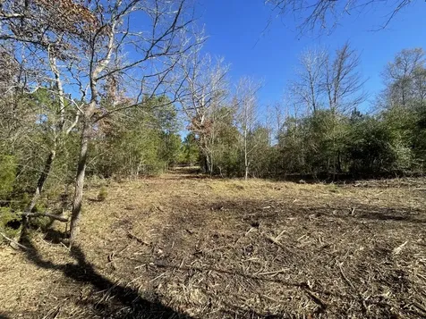 Lot 5 E Fm 942 Livingston TX 77351
