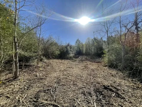 Lot 5 E Fm 942 Livingston TX 77351