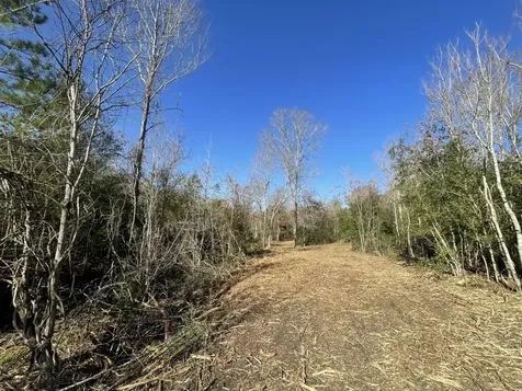 Lot 5 E Fm 942 Livingston TX 77351